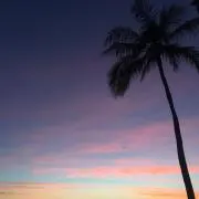 かおの画像