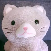 Ramaの画像