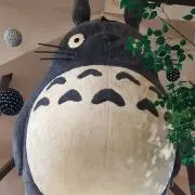ノラ猫