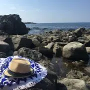 K.N.Bの画像