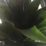 ルンルン⭐︎の画像
