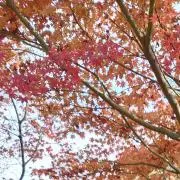 もふん*๑୭