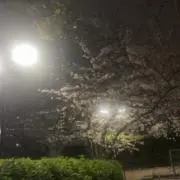 Kikoの画像