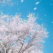ミドリ☆✌︎✌︎ ( ◠‿◠ )の画像
