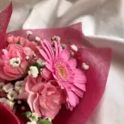 ちゃの画像