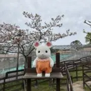 あの画像