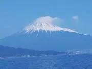 ヨッシーの画像