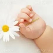ぽん☆の画像