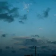 ぽんの画像