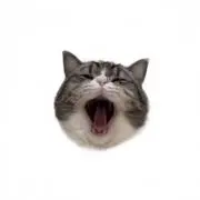 凪の画像
