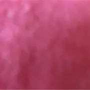 ⭐︎のんのん⭐︎の画像