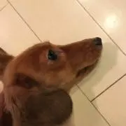 HIRO〜♪の画像