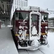 tamuchan