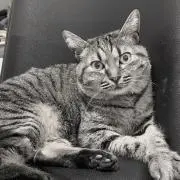 かよかよ