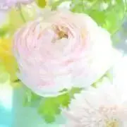 Mwの画像