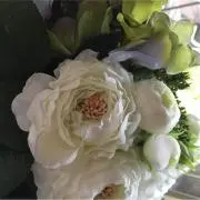 ryosyuの画像