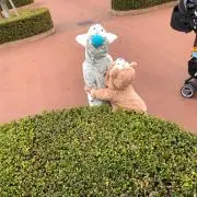 ローラン