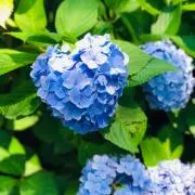 ちひろ☆購入前プロフ確認してください!!の画像