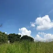 ケンの画像
