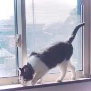 むぎ ￤ プロフィール必読の画像