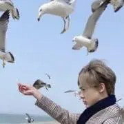 ぴょんの画像