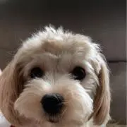 haaaa