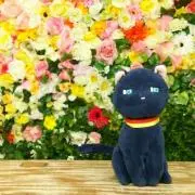 りいち※プロフ一読願いますの画像