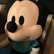 すーちゃんぼんちの画像