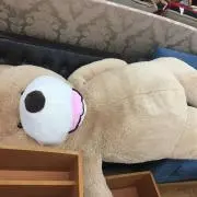アップルの画像