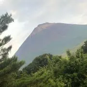きの