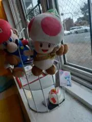 ぼべの画像