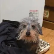 かずぼん