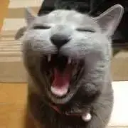 tsunの画像