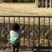 ネズミの画像