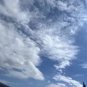 SKSの画像