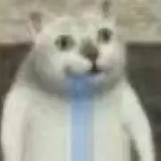とと