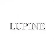 【Lupine】の画像