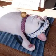 Pipi