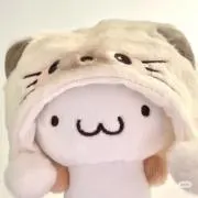 Yの画像