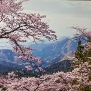 とんの画像