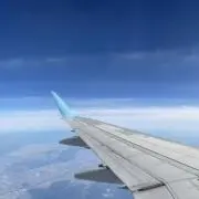 いーちゃんの画像