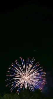 アサの画像