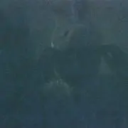 h-88の画像