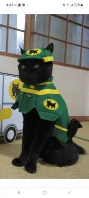 てんてんの画像