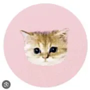 Mの画像