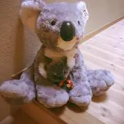 Tom*コメントしてからご購入くださいの画像