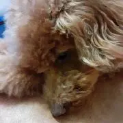 NAMIの画像
