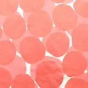 Ponipon