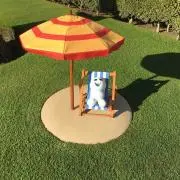 ここきち
