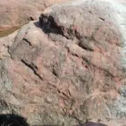 山口の画像